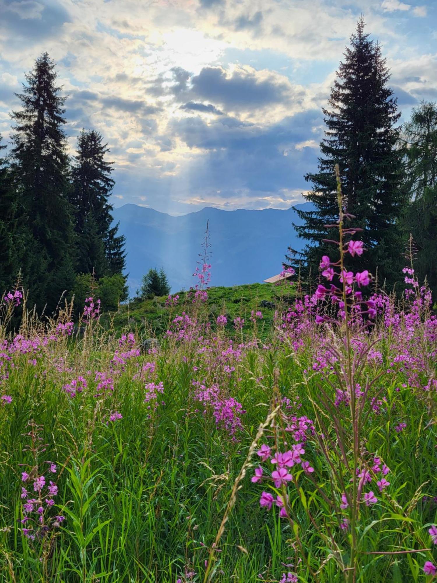 Cosy Studio For 4 Near Ski Lift, Melezes K22 Veysonnaz Bagian luar foto